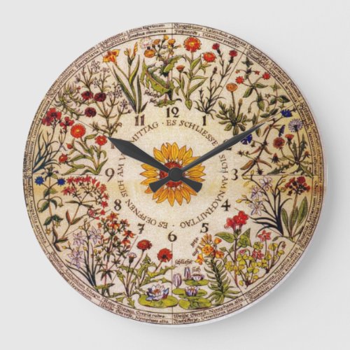 Blumenuhr Flower Clock